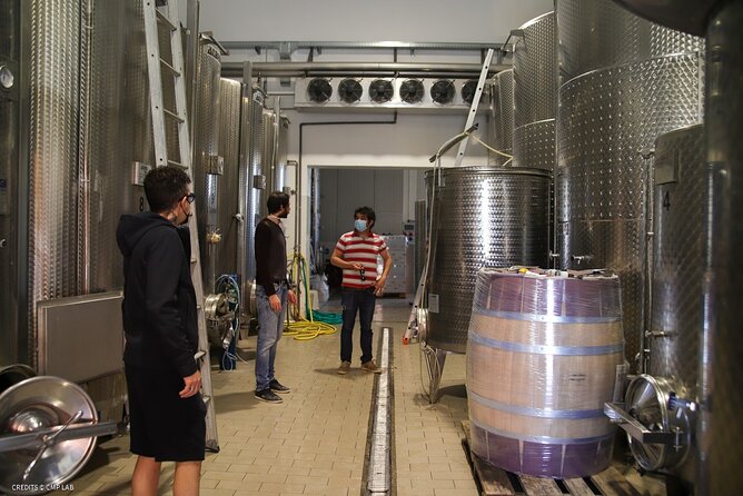 Vineyard Tour and Tasting of Lugana Wines - Four wines with a generous local snack plate