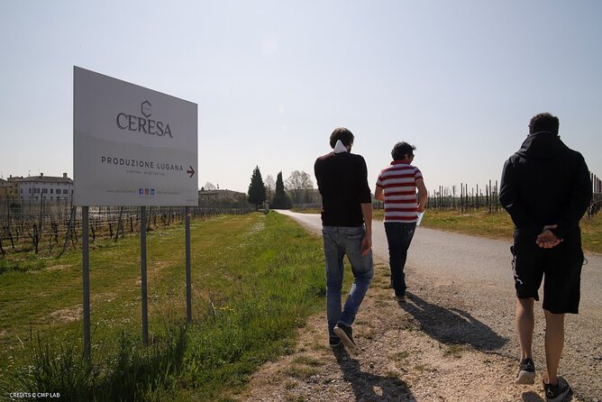 Vineyard Tour and Tasting of Lugana Wines - A close look at the family-run style
