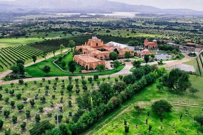 Vineyard, tour, tasting and fun in San Miguel de Allende - Key points at a glance