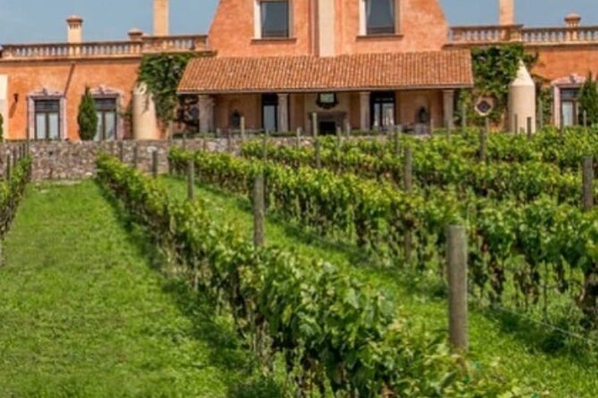 Vineyard, tour, tasting and fun in San Miguel de Allende - Leaving Fábrica la Aurora for wine country