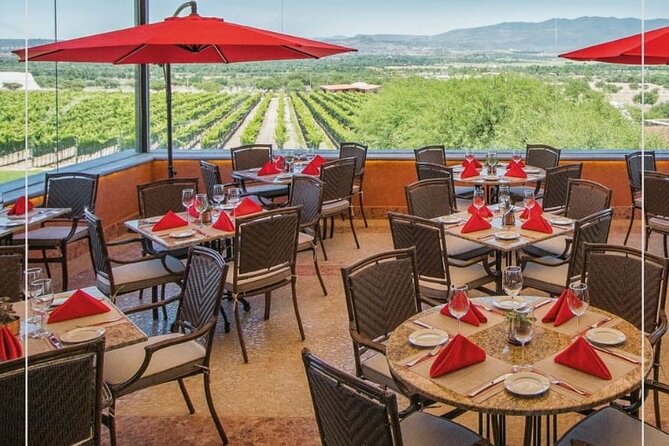 Vineyard, tour, tasting and fun in San Miguel de Allende - How Guanajuato makes wine