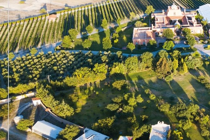 Vineyard, tour, tasting and fun in San Miguel de Allende - Three wines at the vineyard viewpoint