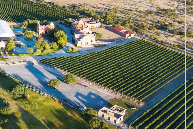 Vineyard, tour, tasting and fun in San Miguel de Allende - Timing, cancellation, and small practical details