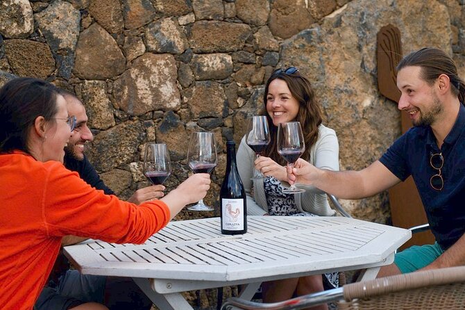 Vineyard tour with wine tasting and local products - Key points at a glance