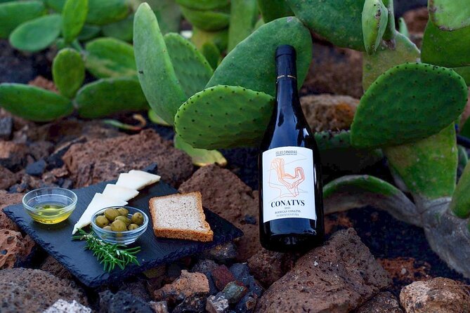 Vineyard tour with wine tasting and local products - Why Fuerteventura wine is worth your hour