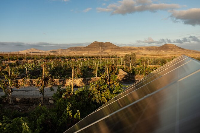 Vineyard tour with wine tasting and local products - Is $42.05 a fair price?