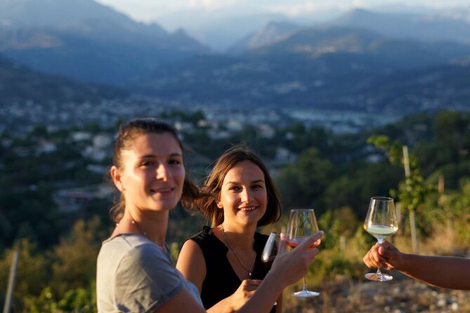Vineyard Tour with Wine Tasting within Nice city borders - Key points to know before booking