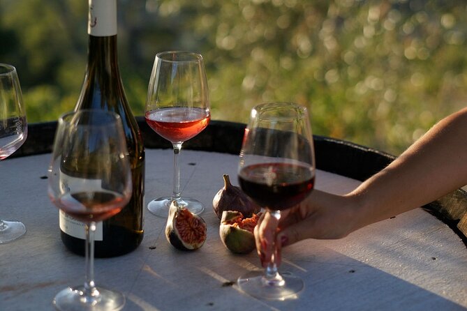 Vineyard Tour with Wine Tasting within Nice city borders - Walking the vines and learning Bellet’s story