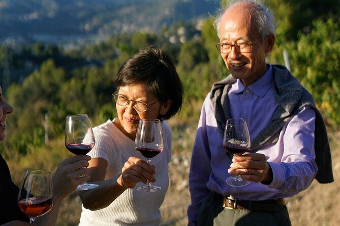 Vineyard Tour with Wine Tasting within Nice city borders - Timing, food, and the practical details