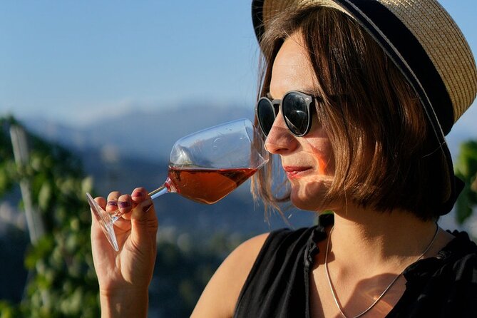 Vineyard Tour with Wine Tasting within Nice city borders - Who will enjoy this experience most
