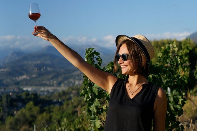 Vineyard Tour with Wine Tasting within Nice city borders - How the value compares with a longer wine excursion