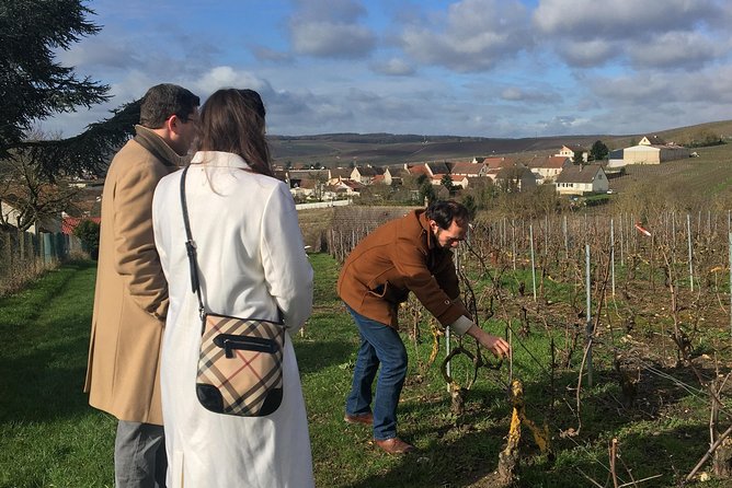 Vineyard Walking Tour & 5 Champagnes Tasting - Key points to know before you book