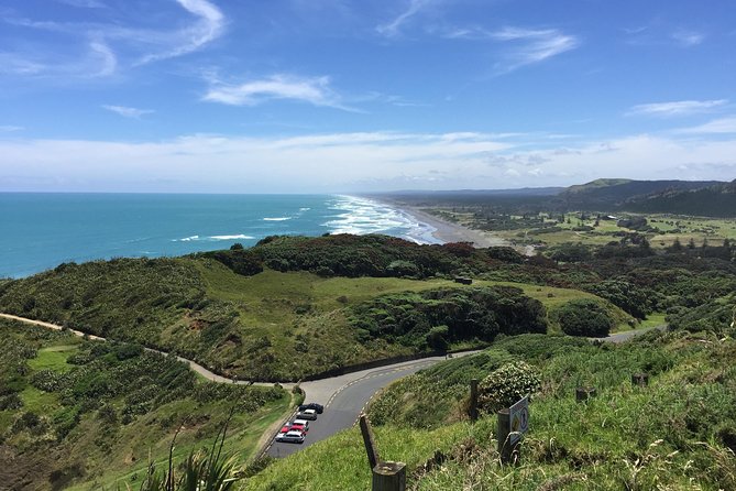 Vineyards Honey and Black Sand Beaches from Auckland - Soljans Estate Winery brings wine and lunch together