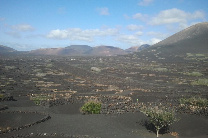 Vineyards of La Geria hiking tour - Why La Geria is worth walking through