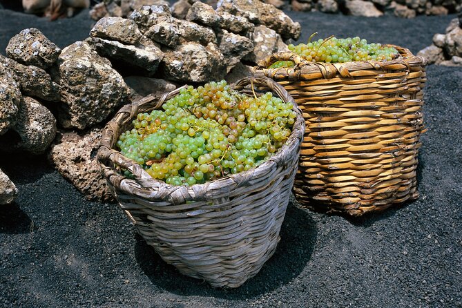 Vineyards of La Geria hiking tour - Who will enjoy this walk most