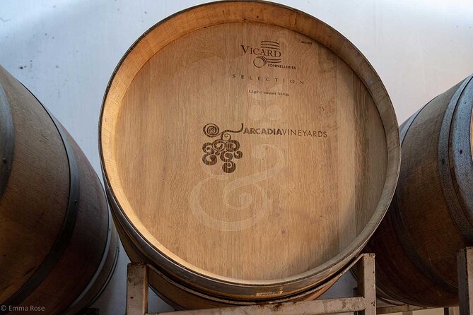 VIP Full Day Wineries Tour from Istanbul - Leaving Istanbul in a private car