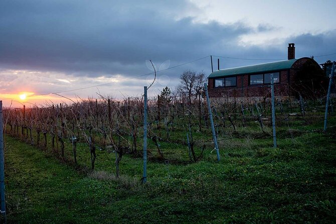 VIP Full Day Wineries Tour from Istanbul - What the $595.45 price really buys