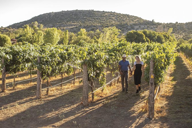 Visit 4 Wineries in Limo Party Bus-Includes Charcuterie Lunch! - Starting in Sedona and getting on the bus