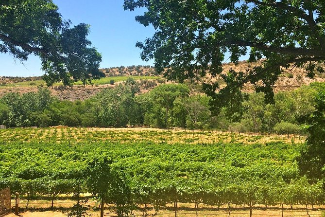 Visit 4 Wineries in Limo Party Bus-Includes Charcuterie Lunch! - The winery route changes, and that matters