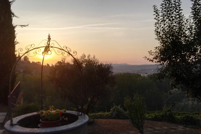 Visit among vineyards and wine cellar with wine tasting in Nizza Monferrato - Following the work into the cellar
