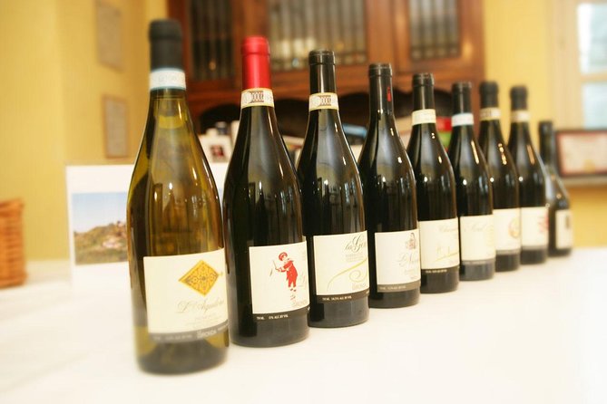 Visit among vineyards and wine cellar with wine tasting in Nizza Monferrato - A summer tasting in the garden