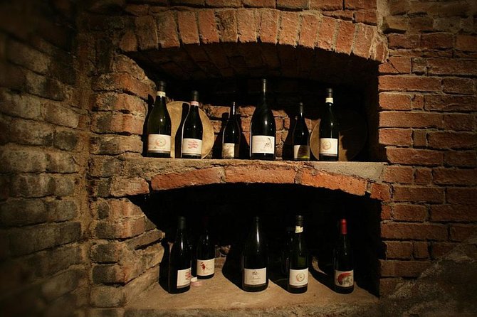 Visit among vineyards and wine cellar with wine tasting in Nizza Monferrato - How the 90 minutes work for your day