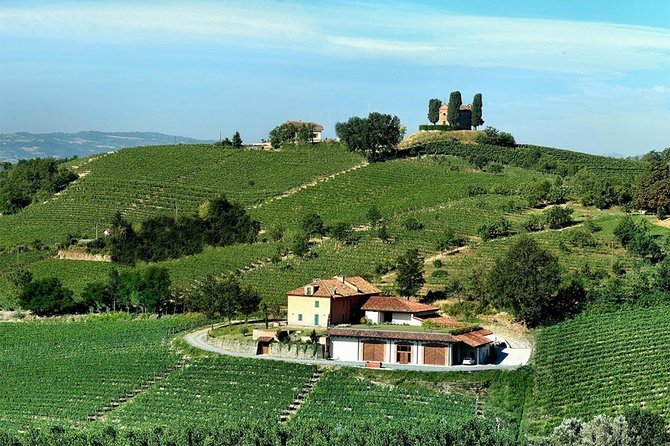 Visit among vineyards and wine cellar with wine tasting in Nizza Monferrato - Practical details before you go