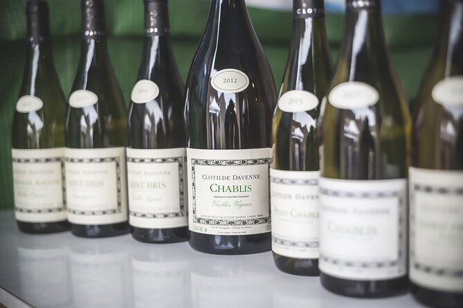 Visit and Chablis wine tasting at Domaine Clotilde Davenne in English - Starting among the vines in Préhy