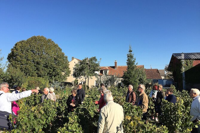 Visit and Chablis wine tasting at Domaine Clotilde Davenne in English - Tasting Chablis, Saint-Bris, Irancy, and Crémant