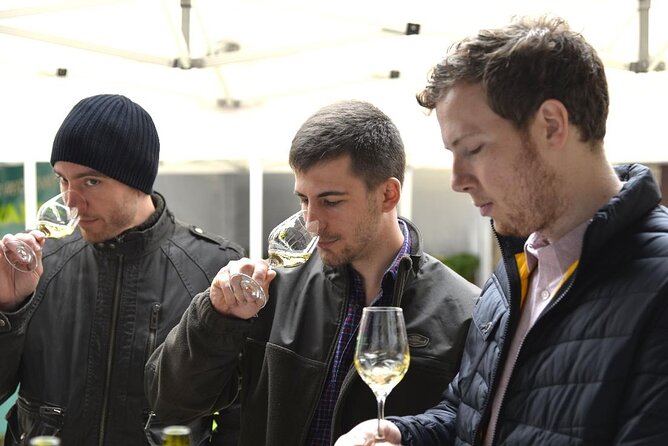 Visit and Chablis wine tasting at Domaine Clotilde Davenne in English - Should you book Domaine Clotilde Davenne?