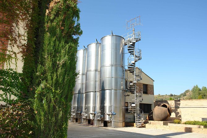 Visit and wine tasting at BODEGA PIRINEOS - Why the guide makes a difference