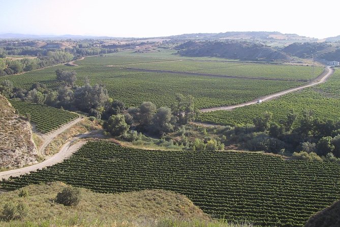 Visit and wine tasting at BODEGA PIRINEOS - Should you book Bodega Pirineos?