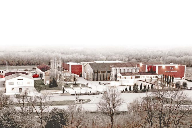 Visit and wine tasting at BODEGA PIRINEOS - Who will enjoy this winery visit most?