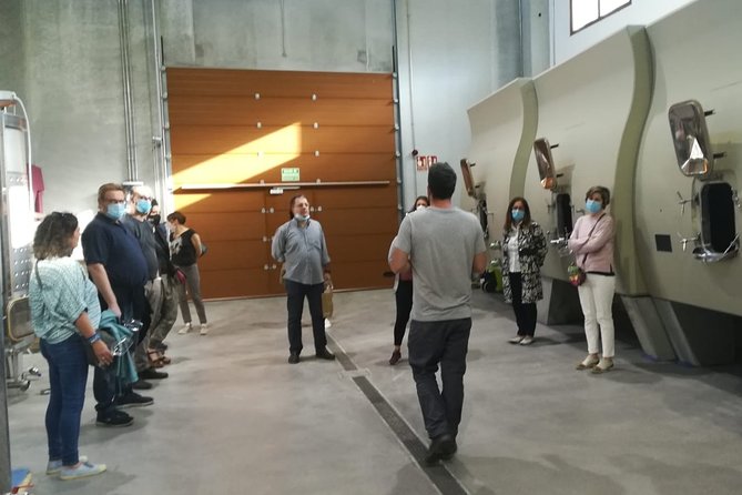 Visit and Wine Tasting at the Territorio Luthier Winery - The Production Rooms and the Work Behind the Bottle