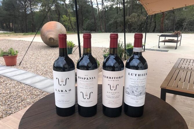 Visit and Wine Tasting at the Territorio Luthier Winery - Who Will Enjoy This Winery Visit Most?
