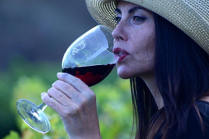 Visit Bodegas Teneguía winery in La Palma with wine Tasting - Key points to know before booking