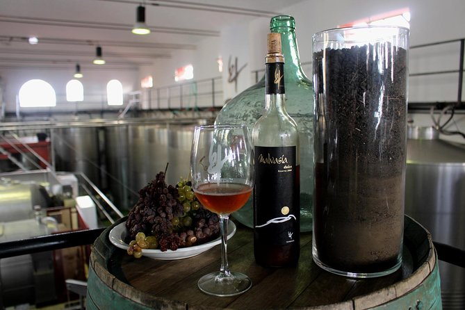 Visit Bodegas Teneguía winery in La Palma with wine Tasting - From grape reception to the pressing area