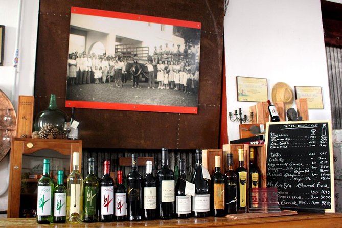 Visit Bodegas Teneguía winery in La Palma with wine Tasting - What you taste at the winery