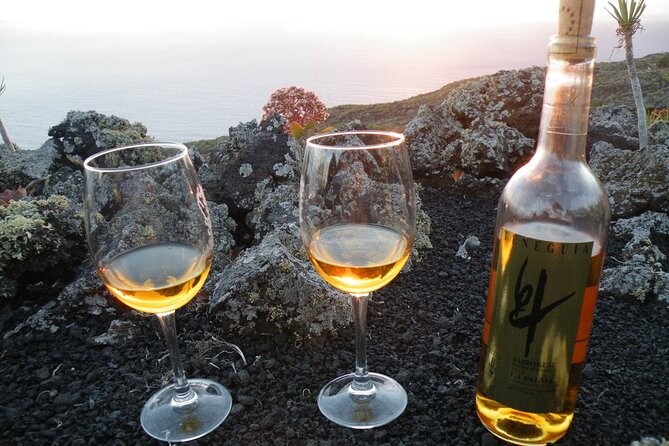 Visit Bodegas Teneguía winery in La Palma with wine Tasting - The guides make a real difference