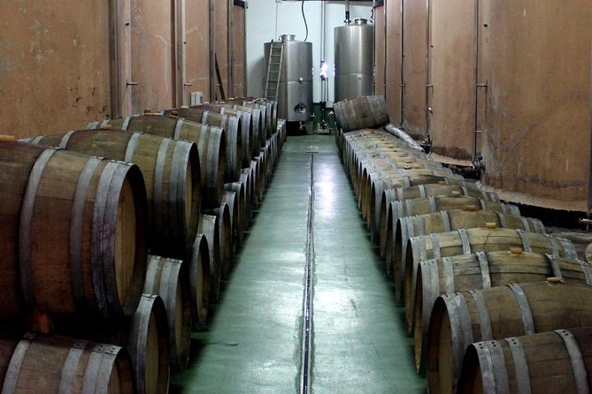 Visit Bodegas Teneguía winery in La Palma with wine Tasting - Who will enjoy Bodegas Teneguía most