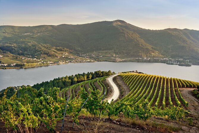 Visit Coastal Vineyard - Key points at a glance