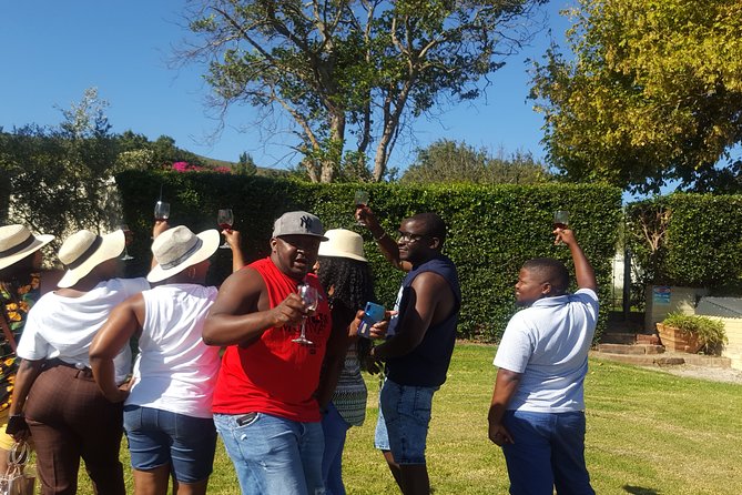 Visit Constantia Wineries + Muzenberg Noordhoek Beaches F/D - Hout Bay, fish and the Seal Island option