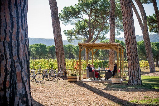Visit La Joya Escondida de la Ribera del Duero Winery - The small details that make the visit work