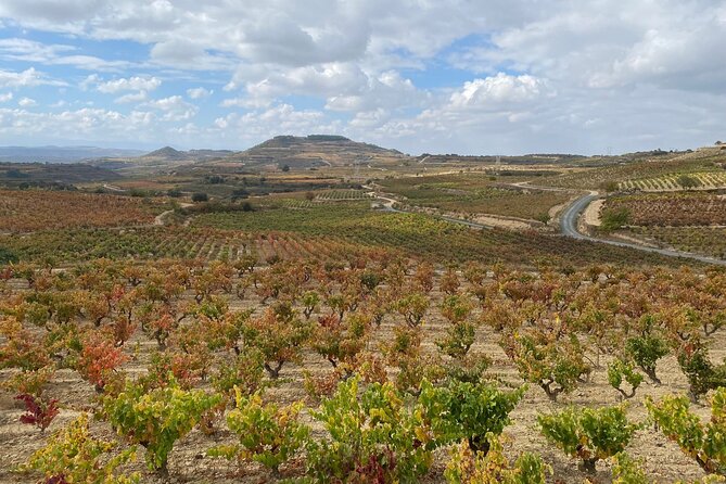 Visit Marques de Riscal & Boutique Winery from Bilbao - Why the tasting format works