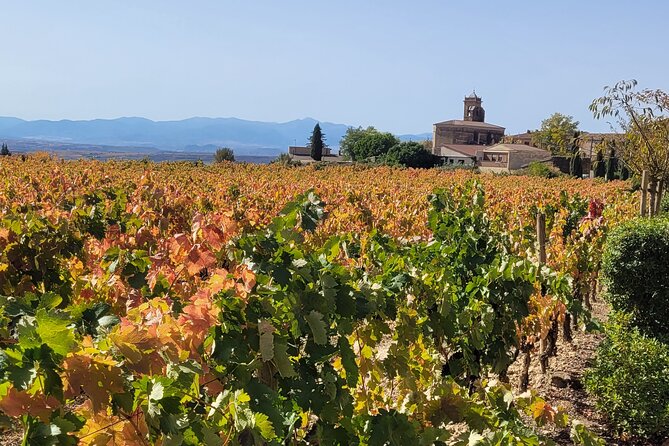 Visit Marques de Riscal & Boutique Winery from Bilbao - FAQ