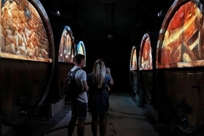 Visit of Cave Immersive - tasting - Kougelhopf to Strasbourg - The 180-degree film in the barrel room