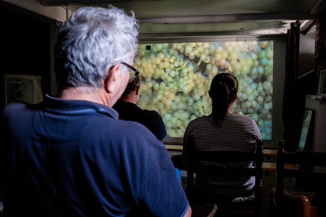 Visit of Cave Immersive - tasting - Kougelhopf to Strasbourg - Is $18.38 good value?