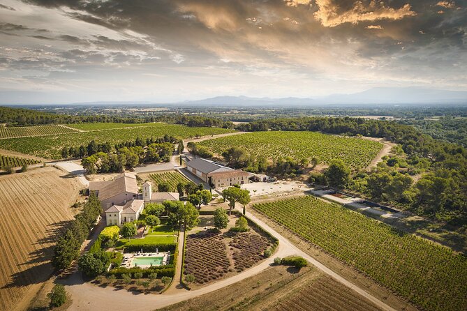Visit of the cellars of Château Gigognan with tasting - Inside the barrel cellar