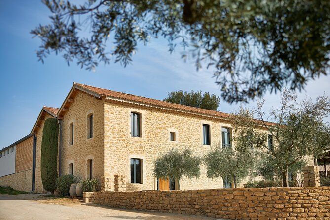 Visit of the cellars of Château Gigognan with tasting - Starting where the grapes arrive