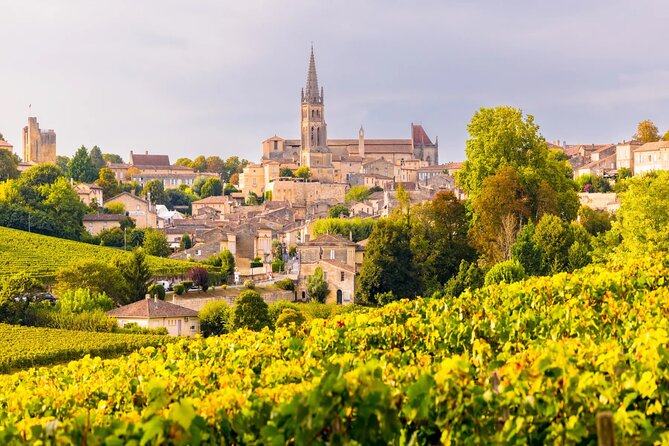 Visit Saint-Emilion and Pomerol:Vineyards, lunch and tastings included - A château picnic with a practical caveat